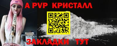 спиды Донской