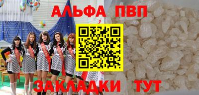 спиды Донской
