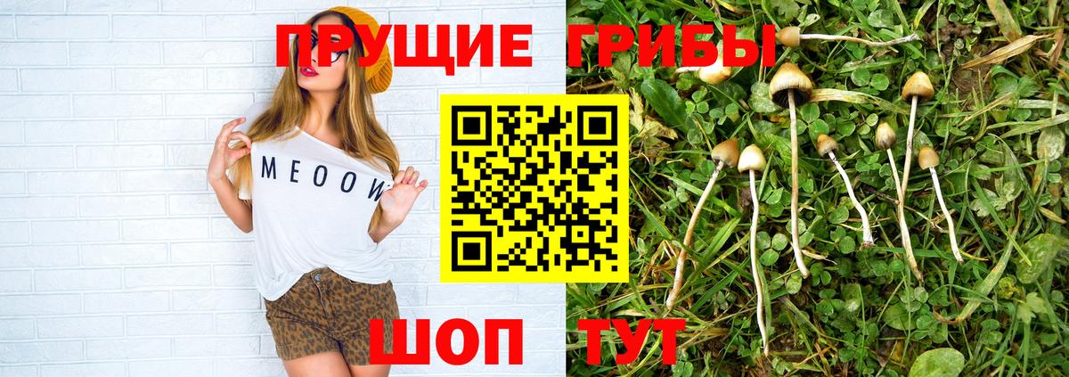 Псилоцибиновые грибы ЛСД Лангепас